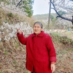 벚꽃나들이 신준옥어르신